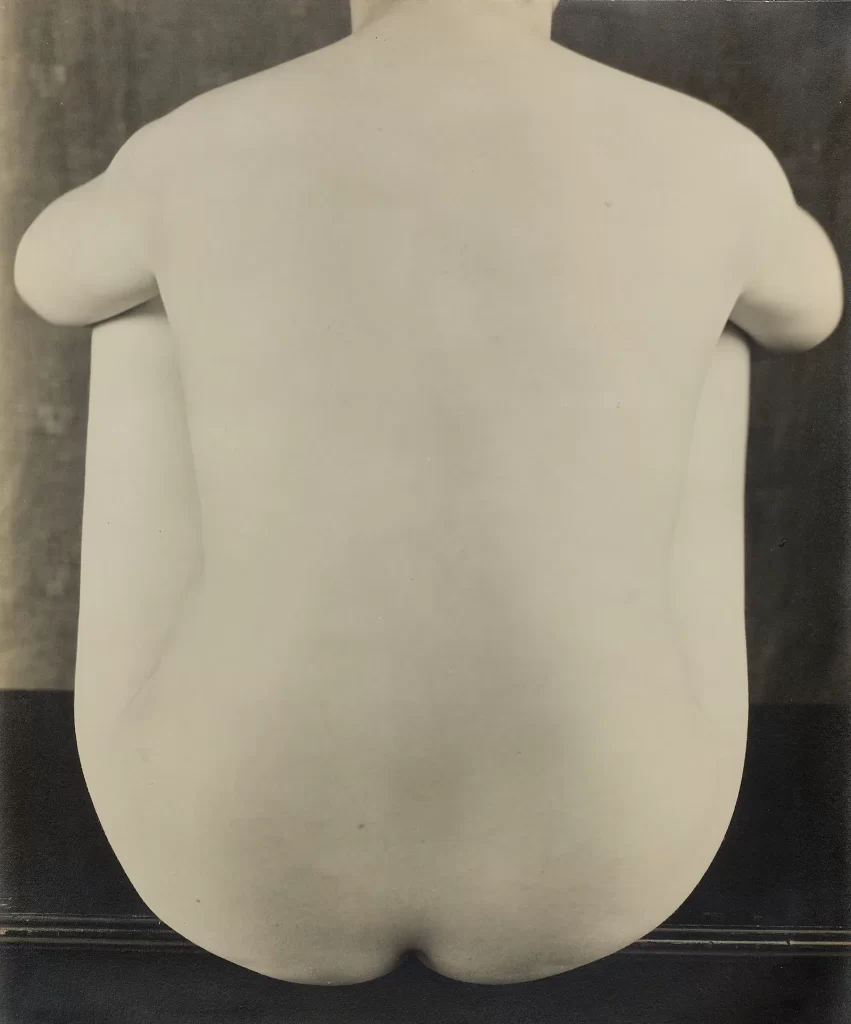 EDWARD WESTON (1886–1958) - Nude Study (Anita), Mexico 1925