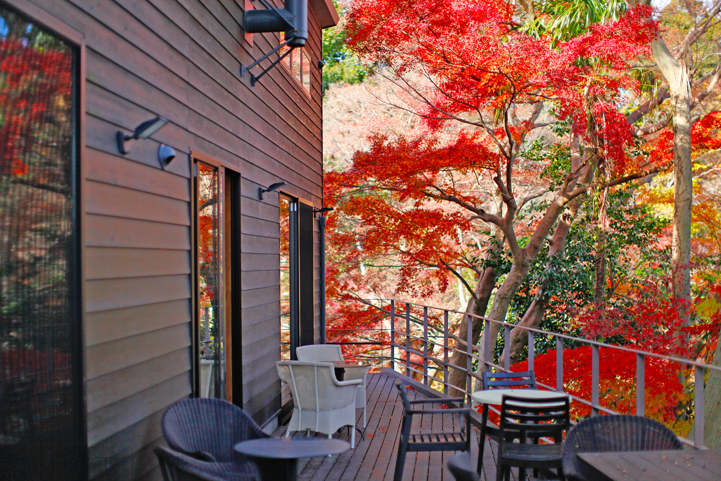 カフェテラスにて